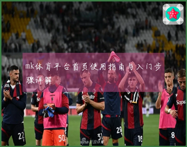 mk体育平台首页使用指南与入门步骤详解