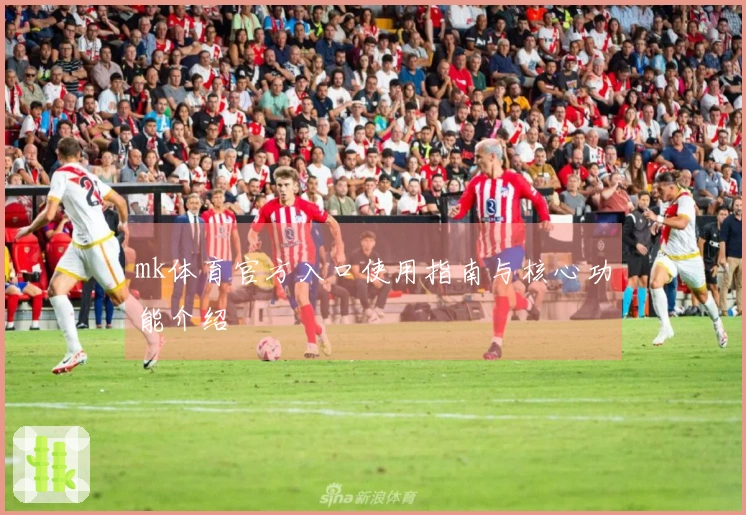 mk体育官方入口使用指南与核心功能介绍