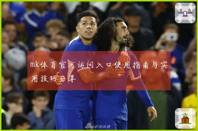 mk体育官方访问入口使用指南与实用技巧分享