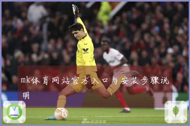 mk体育网站官方入口与安装步骤说明